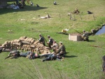 IMG_4495.JPG